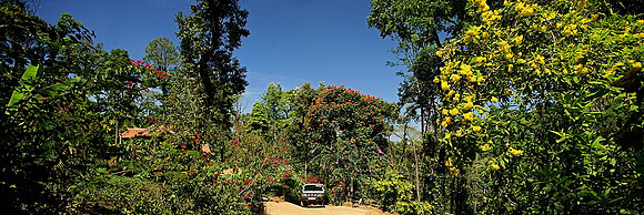 At Honeyvalley in Coorg