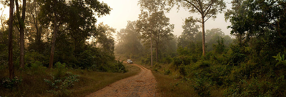 The.W.E.in.Palamau-2