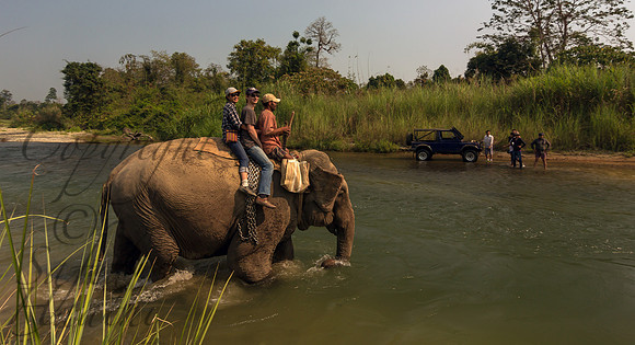 River crossing on elephant back