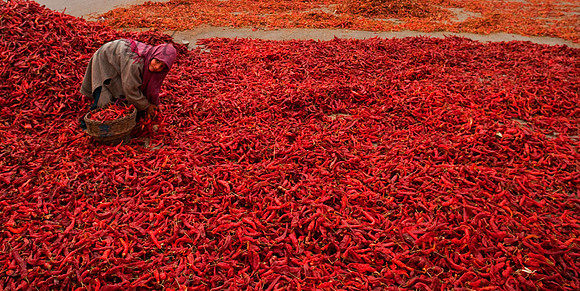 peo-J&K-srinagar-girl-chillies_2 Kopie