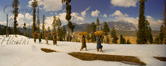 tra-J&K-dudhpatri-women-wood-P1 Kopie