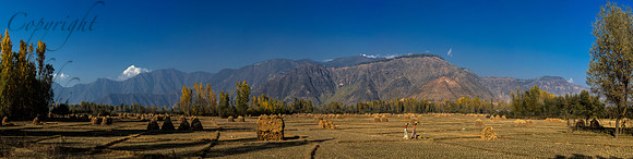 rur-J&K-kupwara-paddyfields-P1 Kopie Kopie