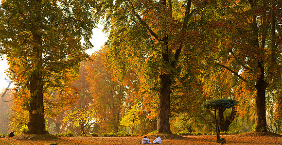 nat-J&K-nishatbagh-chinnar-autumn-1 Kopie