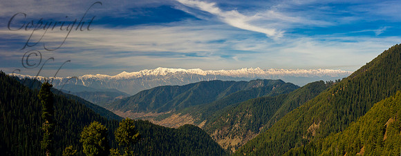 nat-J&K-margantop-pirpanjal-P1 Kopie
