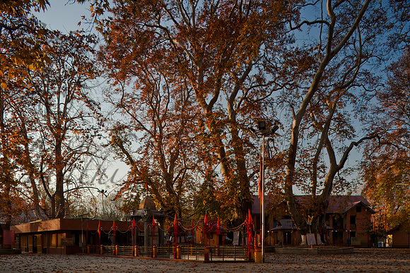 hin-J&K-ganderbal-keerbhawani Kopie