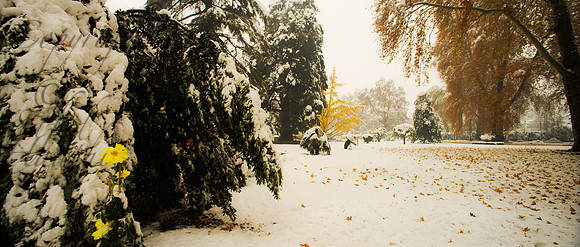 nat-J&K-srinagar-artgarden-winter-P1 Kopie