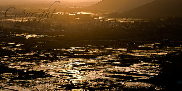 rur-J&K-wular-harvest-paddy-sunset-1 Kopie