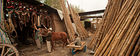 wor-J&K-srinagar-tonga-workshop-P1 Kopie
