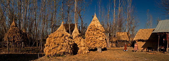 rur-J&K-lolab-ricehaystacks-P1 Kopie