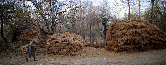 rur-J&K-verinag-man-haystocks-P1 (1) Kopie
