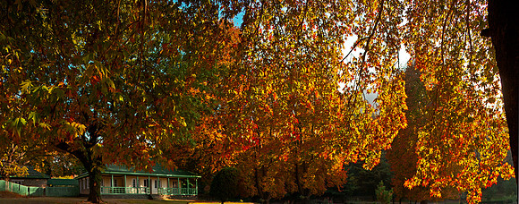 nat-J&K-kokernag-moghulgarden-autumnP1 Kopie