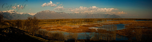 nat-J&K-parihaspoora-wetlands-P1 Kopie