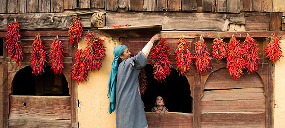 rur-J&K-verinag-chillies-1  Kopie