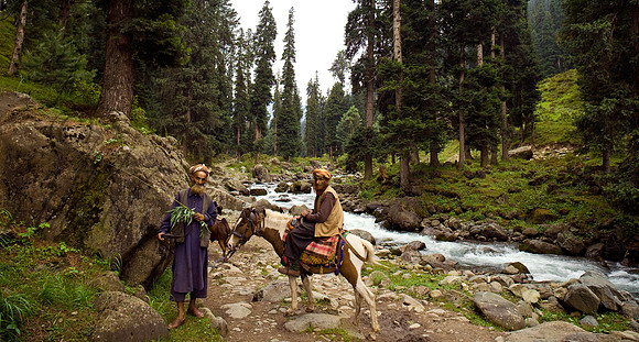 peo-J&K-bringi-gujjar-horse-P1