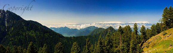 nat-J&K-lolab-P1 Kopie