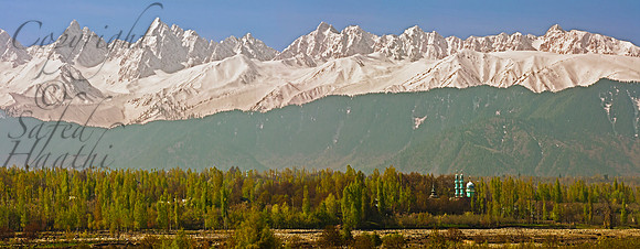 isl-J&K-pulwama-mosque-pirpanjal-P1 Kopie