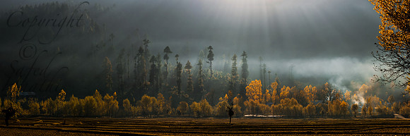 nat-J&K-lolab-autumn-smoke-P1 Kopie