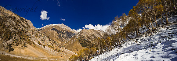 nat-J&K-nidchnai-P8 Kopie