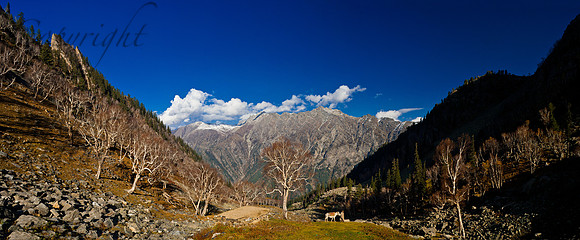 nat-J&K-gagangir-sonemarg-range-P1 Kopie