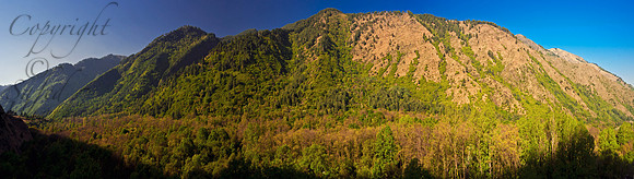 nat-J&K-dachigam-forest-P1 Kopie