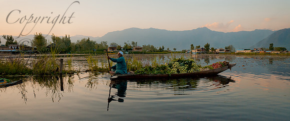 tra-J&K-dal-vegvendor-1 Kopie