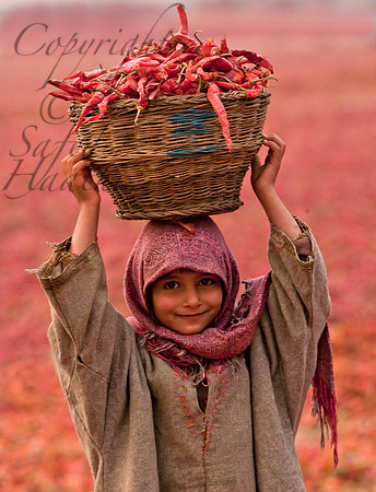 peo-J&K-srinagar-girl-chillies-1