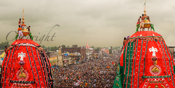 Ratha Yatra 5