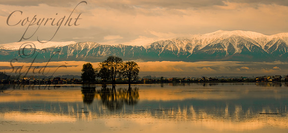 nat-J&K-dal-charchinar-sunrise-1 Kopie