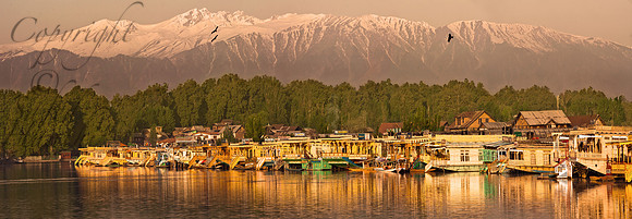 nat-J&K-dallake-hb-mountains-kites-P1 Kopie