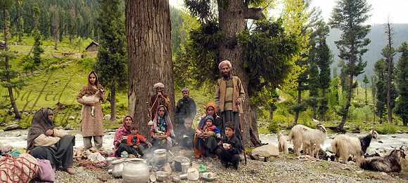 rur-J&K-daksum-gujjar-sheeps-lunch-P1 Kopie