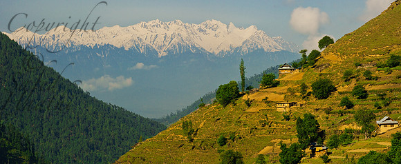 nat-J&K-lolab-kalaroos-P1 Kopie