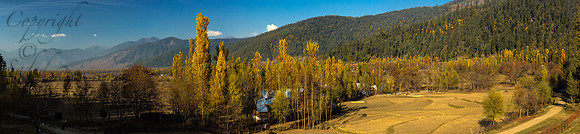 nat-J&K-lolab-diver-autumn-P1 Kopie Kopie