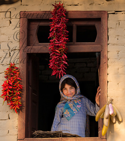 rur-J&K-lolab-girl-chillies-window-1 Kopie