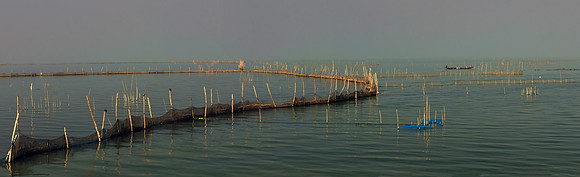 Fishnets Chilika Lake