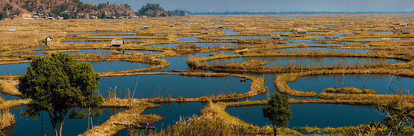 Fishponds at Loktak Lake 3