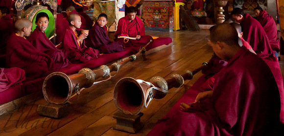 Monks in Tawang Monastery